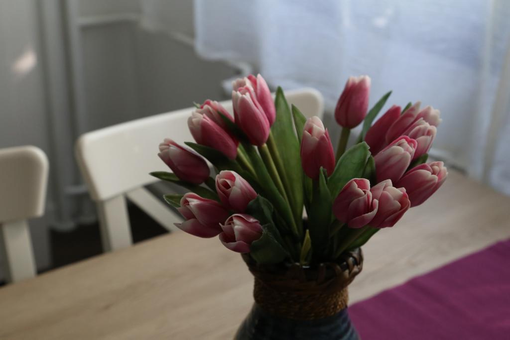 Joop Apartment Zagreb Eksteriør bilde